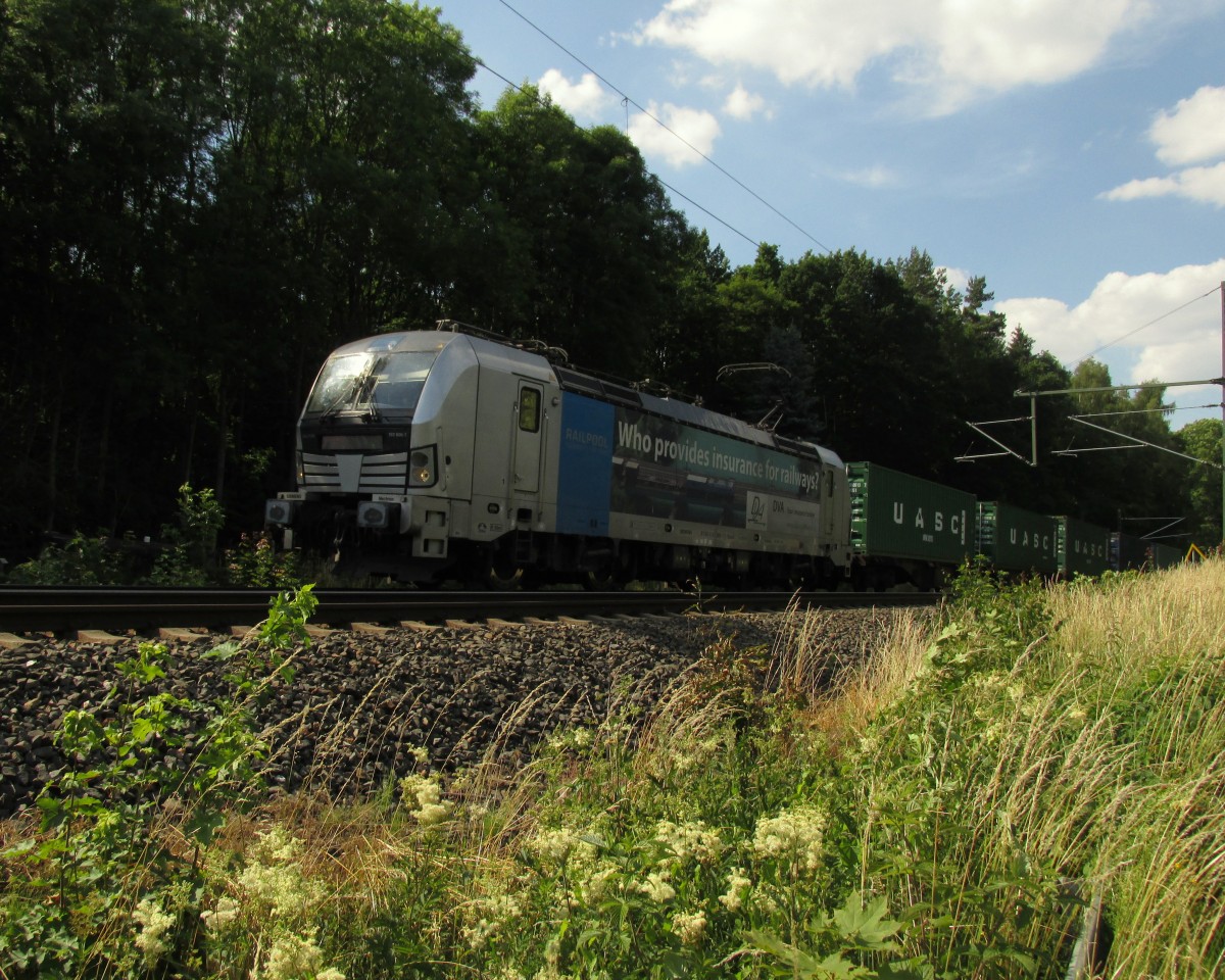 Werbevectron bei Jößnitz/ Plauen mit Containerzug, gesehen am 03.07.2015