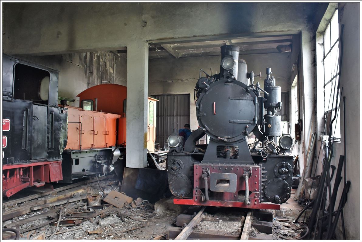 Werksgelände Calea Ferata Ingusta von Georg Hocevar in Criscior. Daneben steht noch ein weiteres Exemplar unbekannter Art. (17.06.2017)