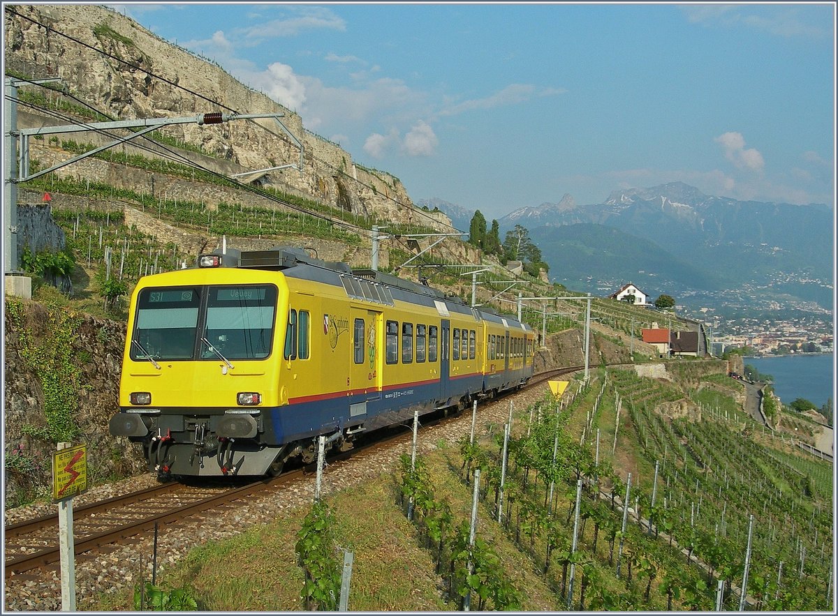 Weshalb der  Train des Vignes  Rebbergzug heisst, zeigt diese Bild eindrcklich.
28. April 2007 