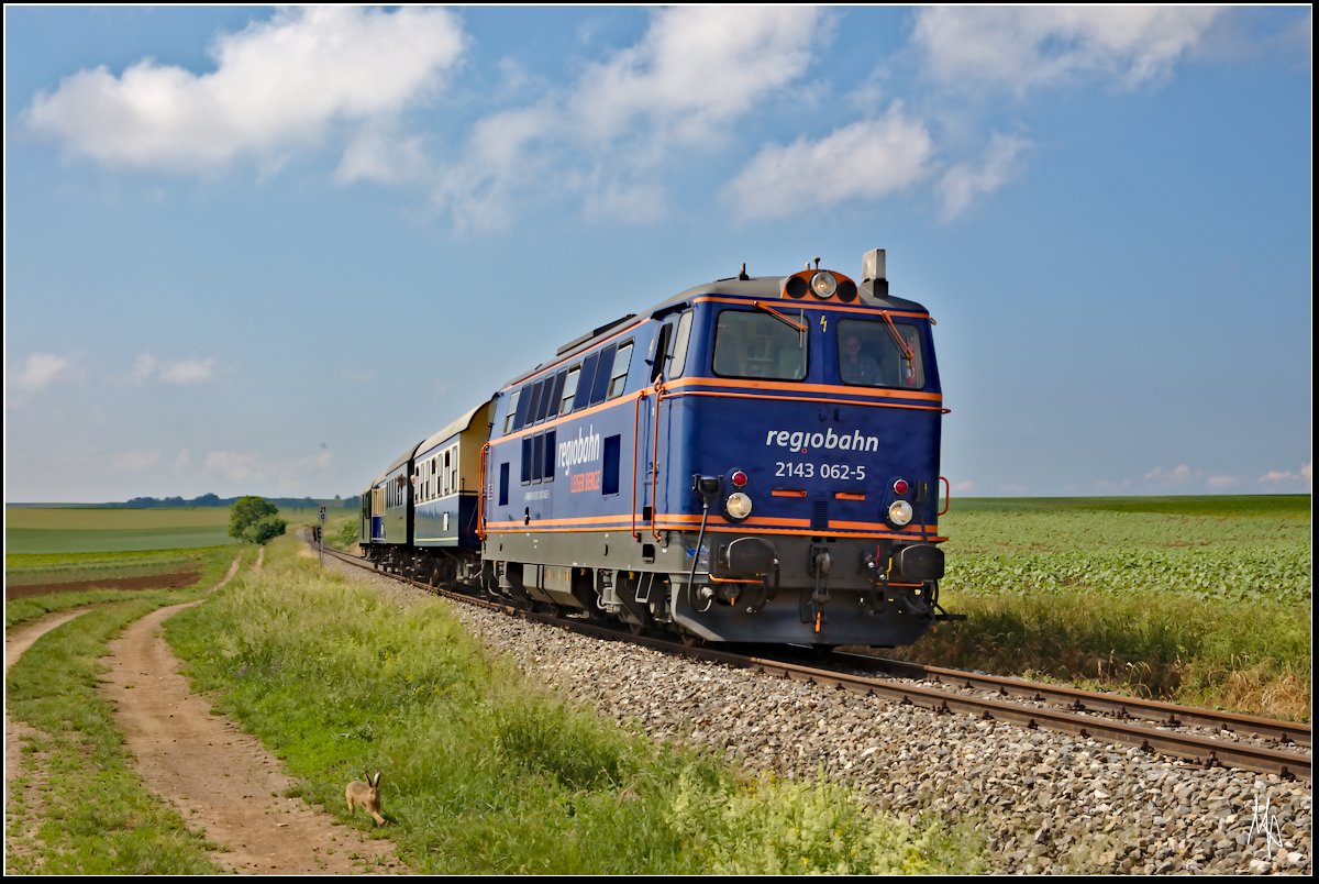 Wettrennen: Hase gegen Elise.
1HS gegen 1500PS. Der Hase startete einenhalb Loklängen hinter dem fahren Zug; hier in der Aufnahme liegt er bereits klar in Führung. Entstanden ist die Aufnahme der 2143.062 (alias Elise) auf dem Weg nach Ernstbrunn kurz nach Karnabrunn. (26.05.2018)