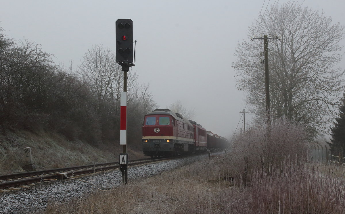WFL 232 012 zieht Holzzug aus dem Ladegleis in Triptis bei Hochnebel und Frost. Mit dabei die 155 110 in DR-Farben. Aufgenommen am Einfahrtsignal in Triptis am 25.01.2020