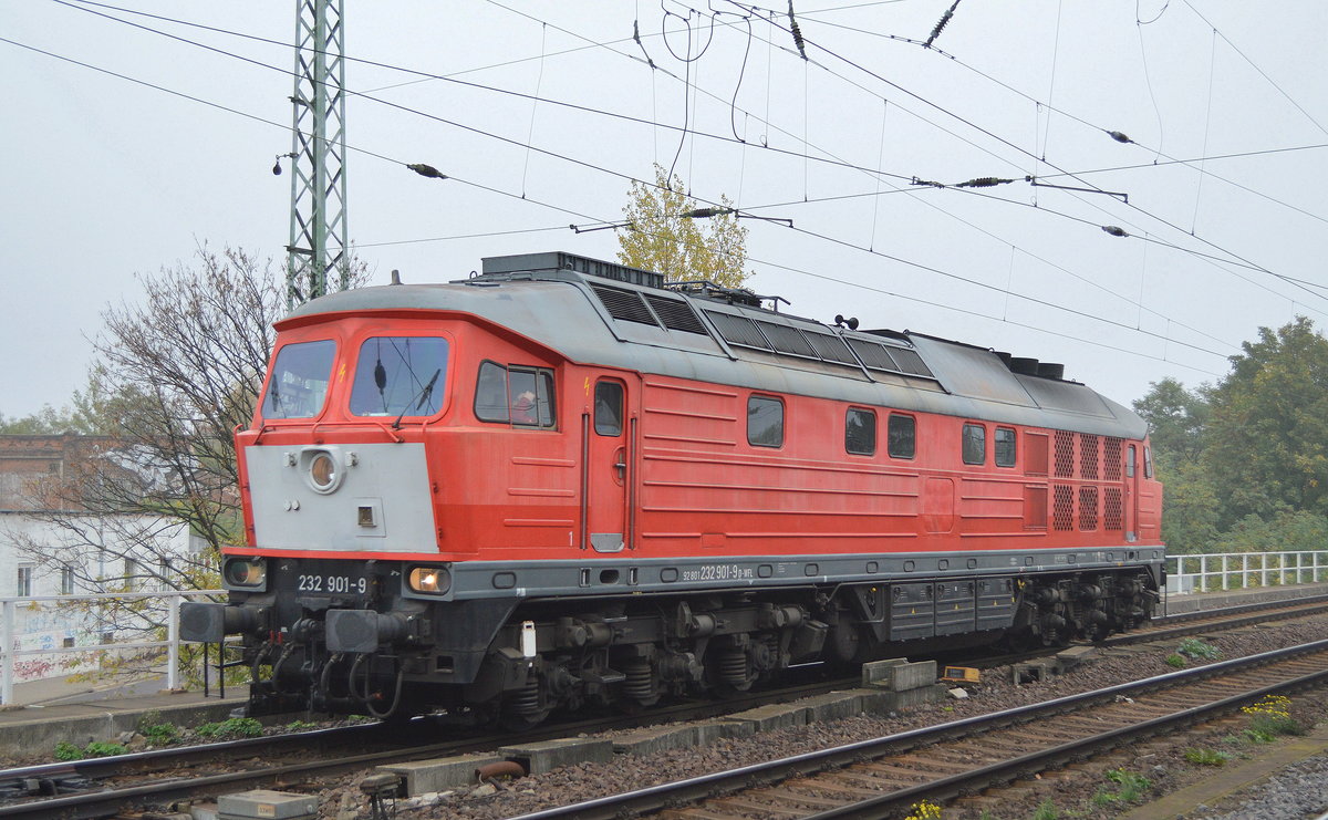WFL - Wedler & Franz GbR Lokomotivdienstleistungen, Potsdam mit der an die Salzland Rail Service GmbH vermietete  232 901-9  [NVR-Nummer: 92 80 0 232 901-9 D-WFL] am 24.10.19 Magdeburg Neustadt.
