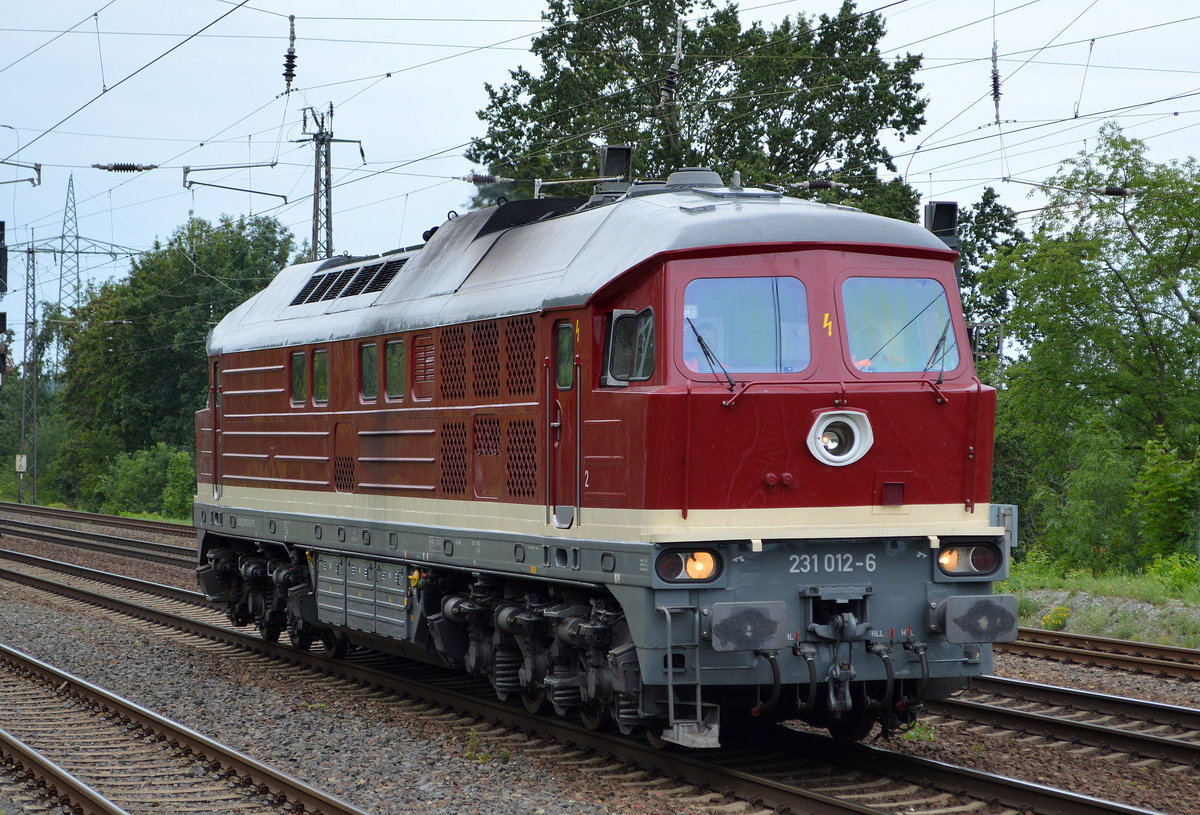 WFL - Wedler Franz Logistik GmbH & Co. KG mit  231 012-6  [NVR-Nummer: 92 80 0231 012-8 D-WFL] am 05.08.19 Saarmund Bahnhof.