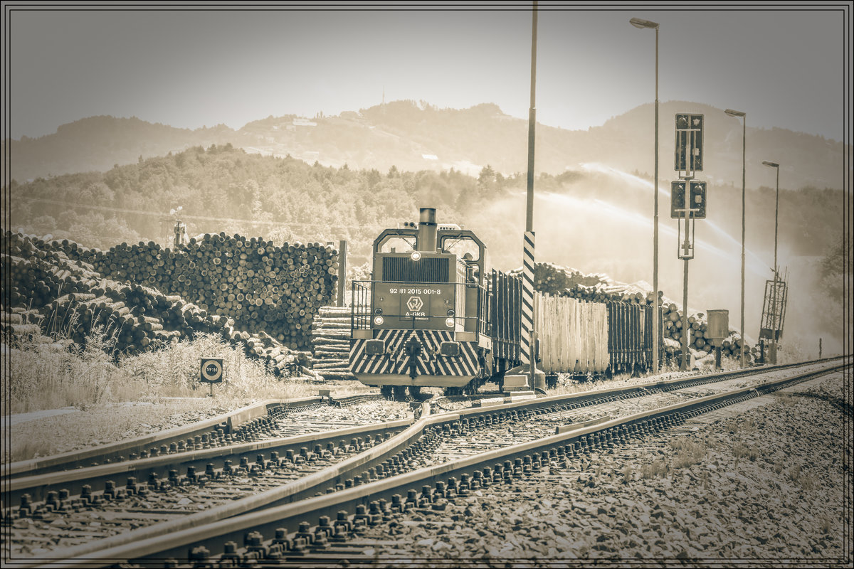 Wia zua olten Zeitn.

DH 1500.1 beim beistellen der nächsten Ladung Rundholz in das Anschlussgleis der Holzindustrie Preding. 
19.06.2019