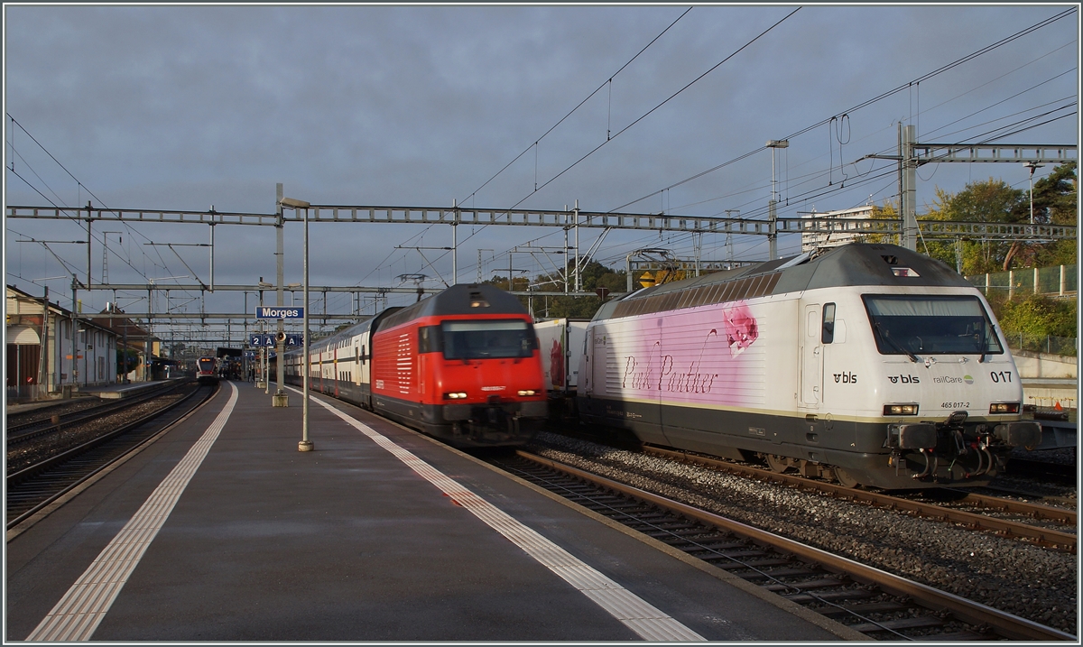 Wie an der (beabsichtigen) Bewegunsunschärfe feststellbar überholf der IC nach St. Gallen in Morges die BLS Re 465 017-2  Pink Panter  mit einem Coop-Cntainerzug nach Vufflens la Ville in Morges.
15. Oktober 2014