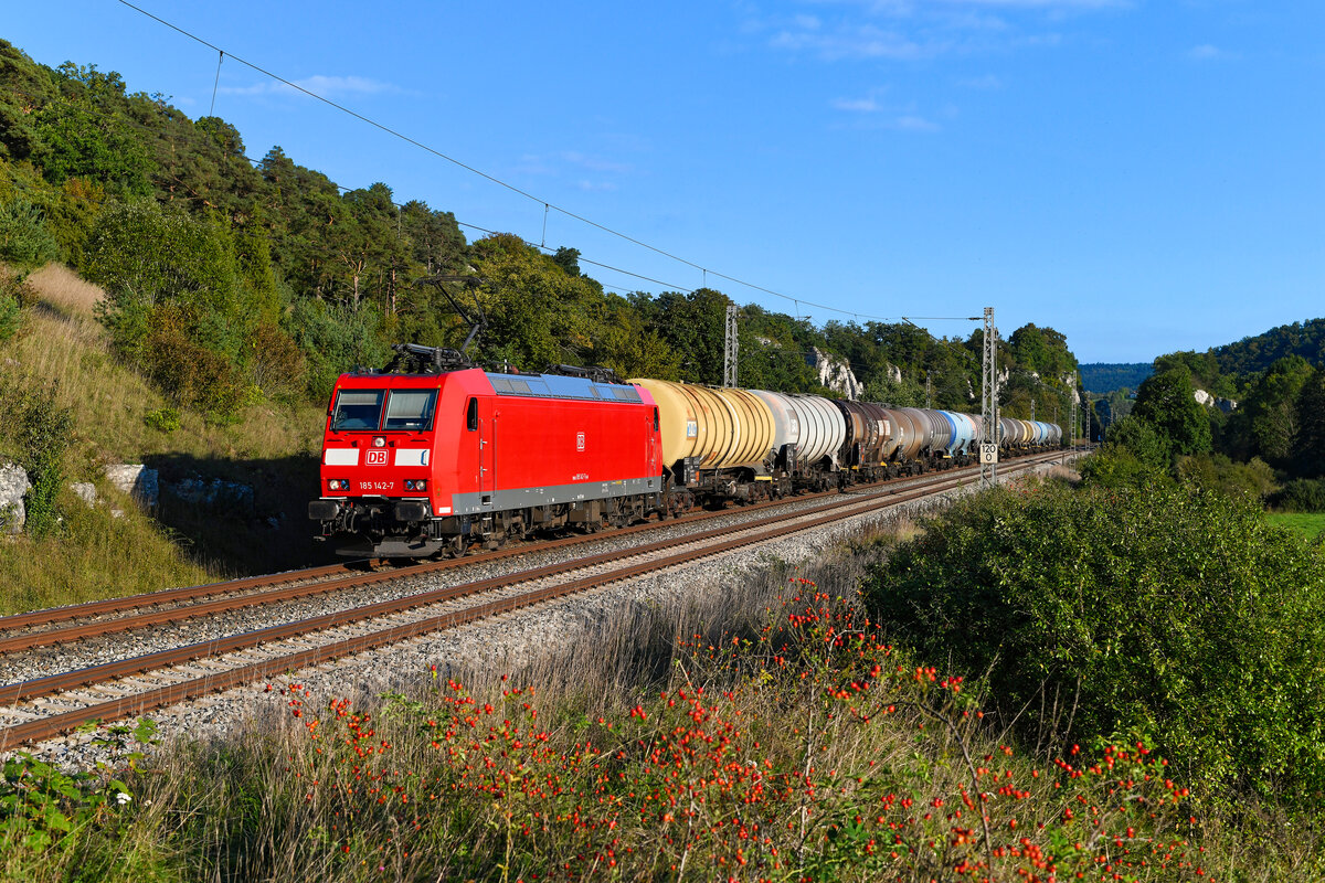  Wie aus dem Ei gepellt  präsentierte sich die 185 142 von DB Cargo am 25. September 2023 vor einem Kesselwagenzug bei Hagenacker im Altmühltal. Zum Aufnahmezeitpunkt war die Lok bereits seit 20 Jahren auf deutschen und schweizerischen Schienen unterwegs. Die Traxx-Maschine besitzt nämlich die entsprechende Länderausrüstung, von außen an den vier Stromabnehmern erkennbar. Für längere Zeit trug sie auch eine Folierung mit Edelweiß-Motiven, die auf die Einsätze bei den Eidgenossen hinwies.  