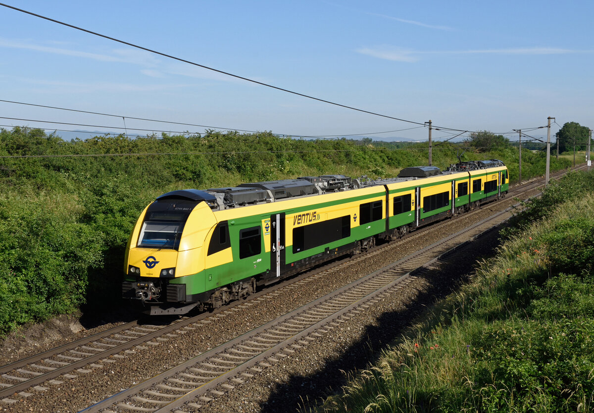 Wie ein blühendes Rapsfeld, REX 6 von Deutschkreutz über Sopron, Wien Hauptbahnhof nach  Bratislava-Petrzalka, wurde am 15. Juni 2021 vom 4744 802 gebildet und von mir in Gramatneusiedl fotografiert.