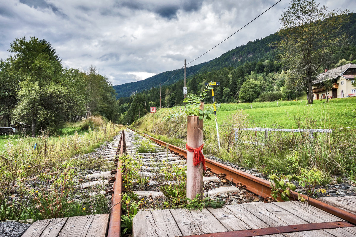 Wie es aussieht haben sich außer uns auch andere Gedanken gemacht, wie man die Gailtalbahn nachzunutzen kann, wie derjenige der hier in Postran einen Baum gepflanzt hat.
Ich würde trotzdem sagen die Stecke macht sich als Touristikbahn doch besser, als als Baumschule ;-)  
Was der aber nicht so durchdacht hat, ist, dass die ÖBB dieses Jahr noch mit dem Unkrautvernichtungszug nach Kötschach-Mauthen fahren :-)
Aufgenommen am 20.8.2017.