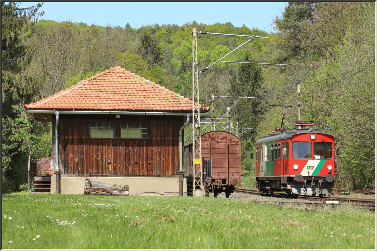 Wie H.P. schon beschrieb bietet der Bahnhof Maierdorf viel Abwechslung weil er vor allem zur Mittagssonne Gleisachsig liegt .
Hier inmitten von Gänseblümchen liegend surrt der ET 2 nach einem Gefälle in den Bahnhof hinein. 
22.April 2019 
