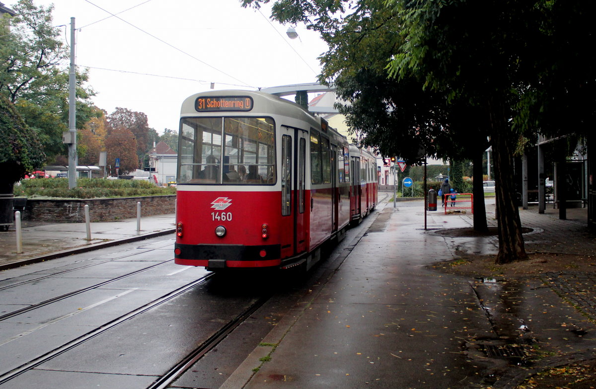 Wien Wiener Linien SL 31 (c5 1460 + E2 4060) XX, Brigittenau, Klosterneuburger Straße / Gaußplatz am 18. Oktober 2016.