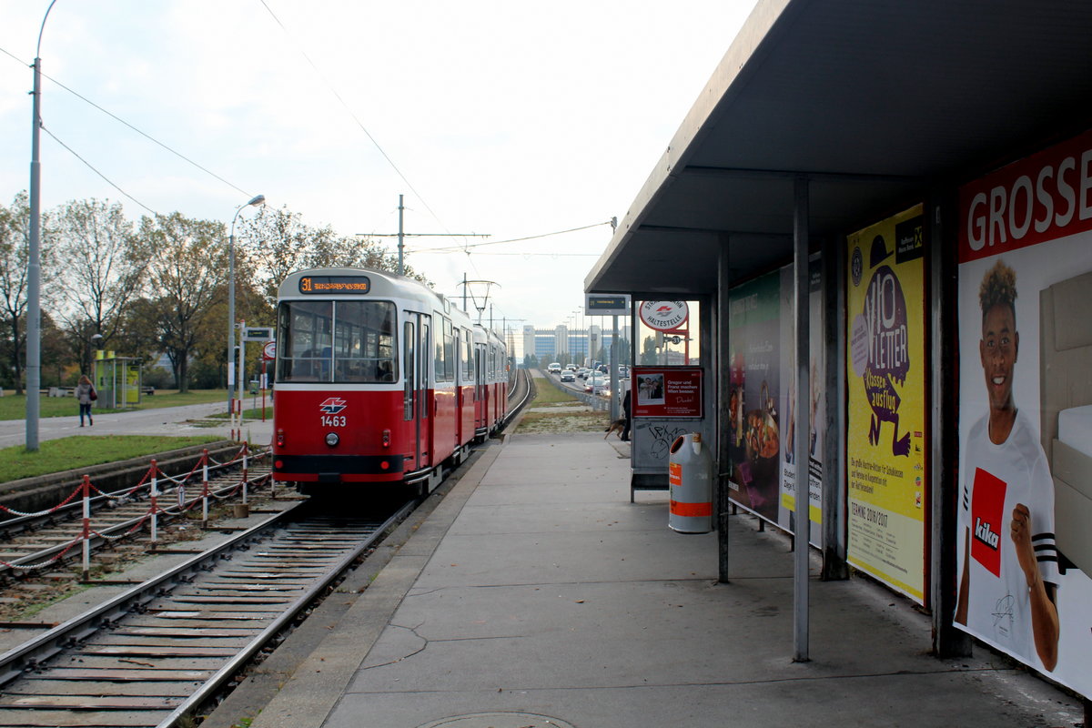 Wien Wiener Linien SL 31 (c5 1463 + E2 4063) XXI, Floridsdorf, Donauinsel, Hst. Floridsdorfer Brücke am 21. Oktober 2016.