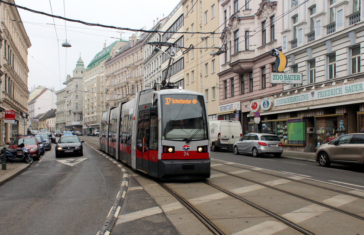 Wien Wiener Linien SL 37 (A 34) IX, Alsergrund, Nußdorfer Straße am 18. Februar 2017.