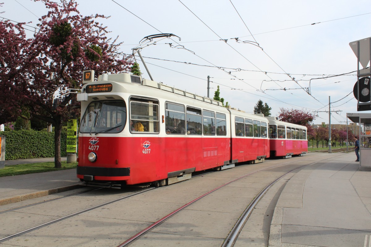 Wien Wiener Linien SL 67 (E2 4077 + c5 1477) Neilreichgasse (Hst. Raxstrasse / Rudolfshügelgasse) am 30. April 2015.