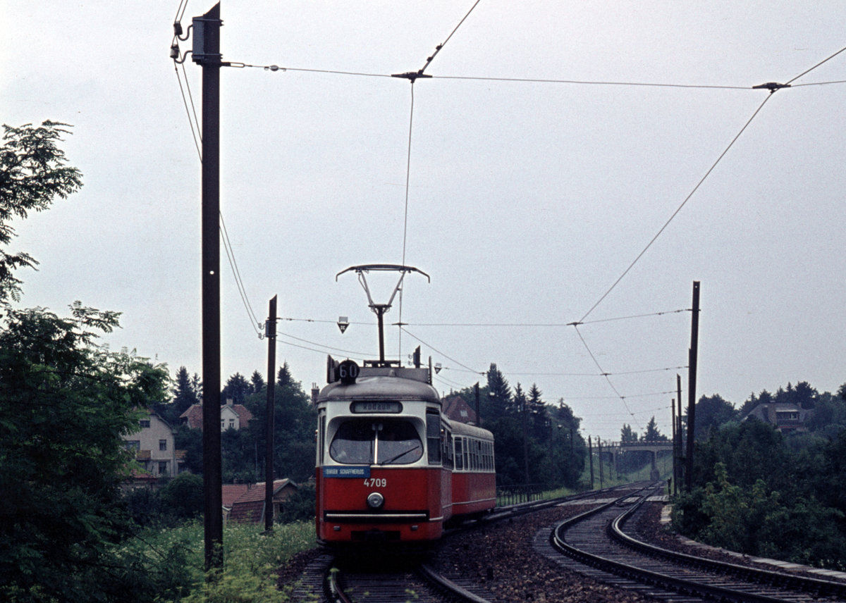 Wien Wiener Stadtwerke-Verkehrsbetriebe (WVB): Der E1 4709 (SGP 1969) als SL 60 erreicht auf der Fahrt nach Rodaun die Kaiser-Franz-Josef-Straße am 1. August 1972. - Scan eines Diaposiivs. Kamera: Minolta SRT-101.