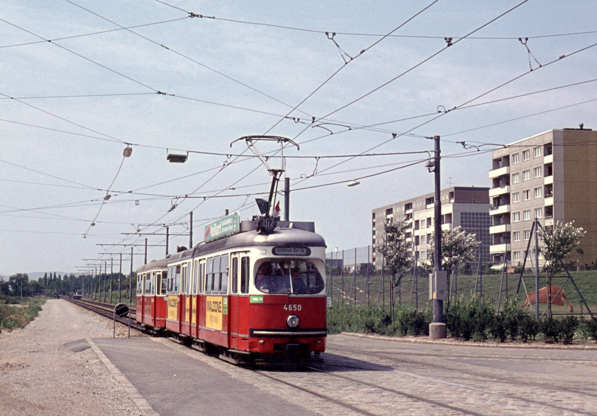 Wien Wiener Stadtwerke-Verkehrsbetriebe (WVB) SL 167 (E1 4650 (SGP 1967)) X, Favoriten, Oberlaa-Stadt, Per-Albin-Hansson-Siedlung-Ost am 16. Juli 1974. - Die Bahntrasse liegt zwischen der Donauländebahn und der Siedlung. - Scan eines Diapositivs. Film: Agfa CT18. Kamera: Minolta SRT-101.