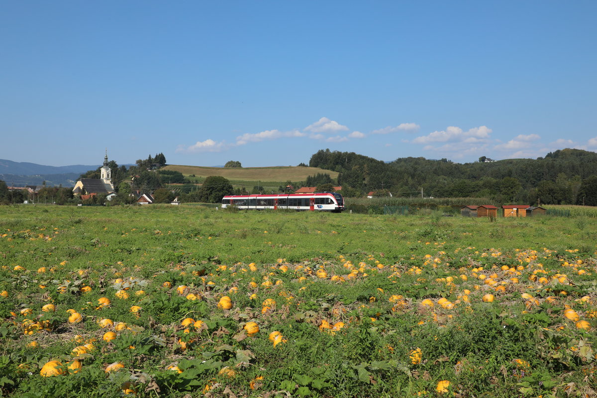 Wies Markt an diesem sonnigen 19.August 2018.
Die Plutza im Endspurt .
