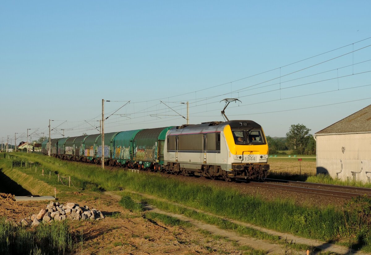 Wilwisheim - 1. Juni 2021 : HLE 1344 am Zug 49800 Strassburg Rhein Hafen nach Belgien.
