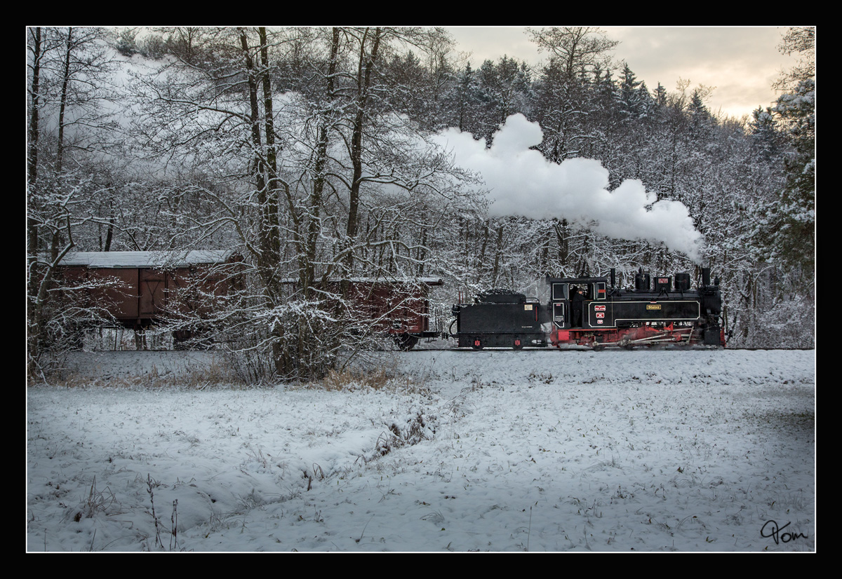 Winter Wonderland - Dampflok 764.411R der Stainzerbahn fährt mit einem Güterzug von Preding nach Stainz, aufgenommen in den Wäldern nahe Mannegg.
16.12.2018