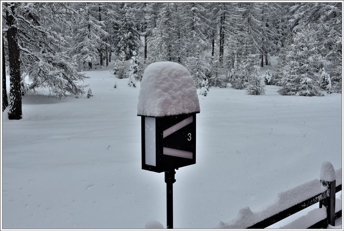 Winterimpression aus Morteratsch. Das hats in einer Nacht geschneit. (28.04.2017)