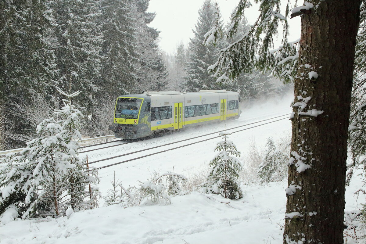 Winterwetter am 08.01.2022 bei Rößlau, mit der Agilis BR 650 nach Coburg.