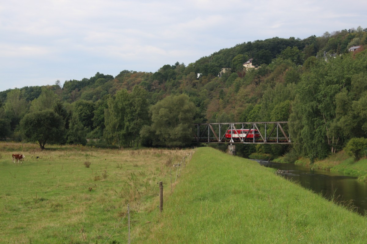 Wisentatalbahn im Elstertal bei Plauen. Aufgenommen wurde der VT798 am 13.09.2015 auf ihren Weg nach Gera. 