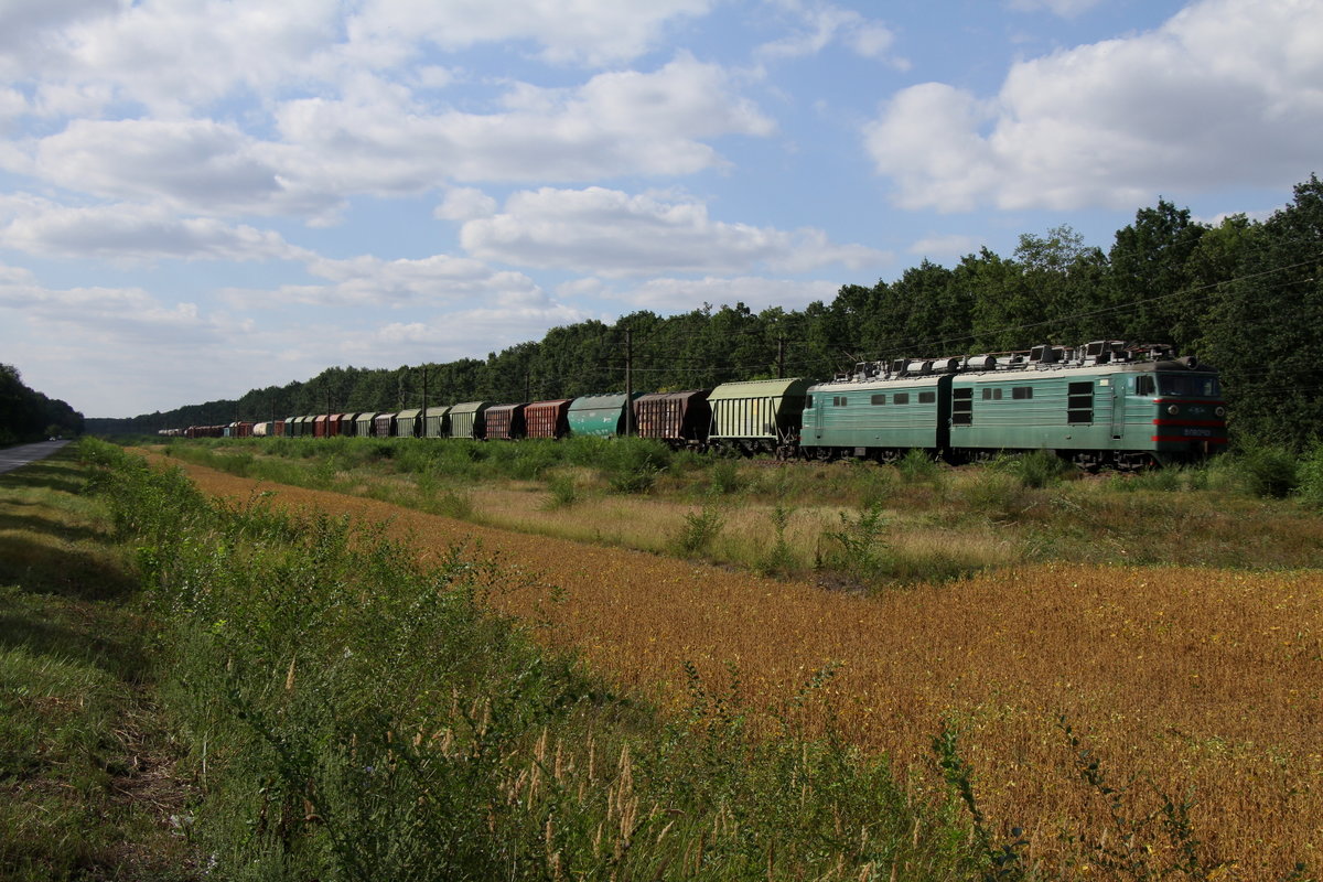 WL80 mit einem langen Gütergespann im Schlepptau. Am 2.9.17 bei Rokitne.