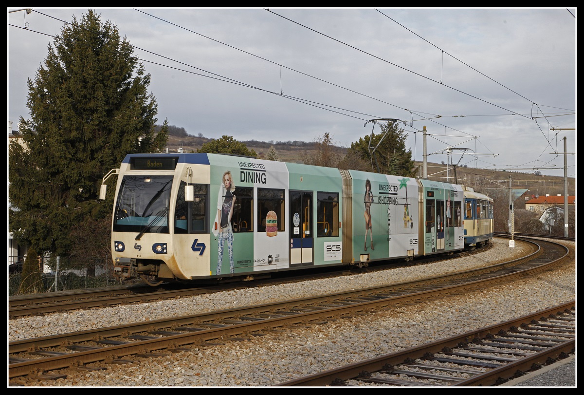 WLB 411 + WLB... ereichen am 30.01.2020 Gundramsdorf Lokalbahn.