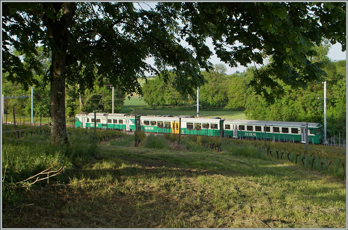Wo Brot und Wein gedeiht führt das Trasse der BAM die Züge von Morges Richtung Bière und l'Isle Mont la Ville; oder kurz und Knapp: der BAM Regionazug 107 bei Chigny. 
12. Mai 2015