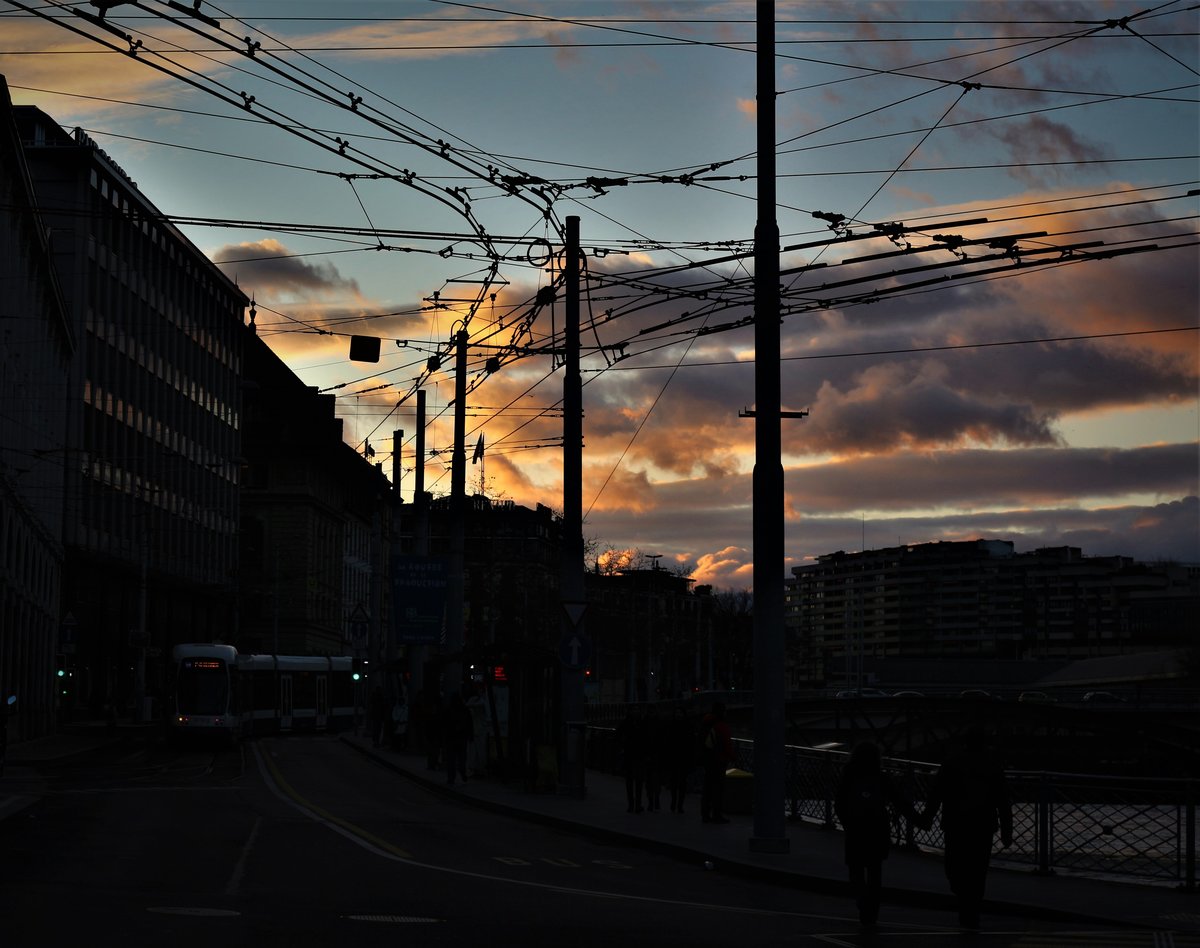 Wo versteckt sich das Tram? Der Sonnenuntergang vom 16. Dezember 2017 in Genève stach extra die Fahrleitungen im Bild hervor. Genève, Bel-Air