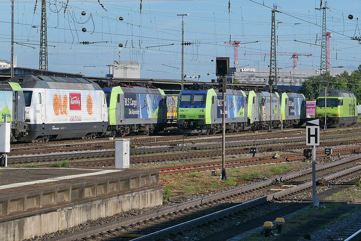 Wochenendruhe für 465 004, 485 018 und weiteren Loks der BLS am 25.06.2022 in Basel Badischer Bahnhof
