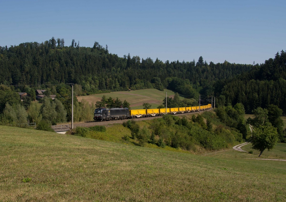 X4 E-859(193 859)MRCE-DB Fahrwegdienste mit Abraumzug bei Mittelrot Ri.Stuttgart am 22.8.2015.