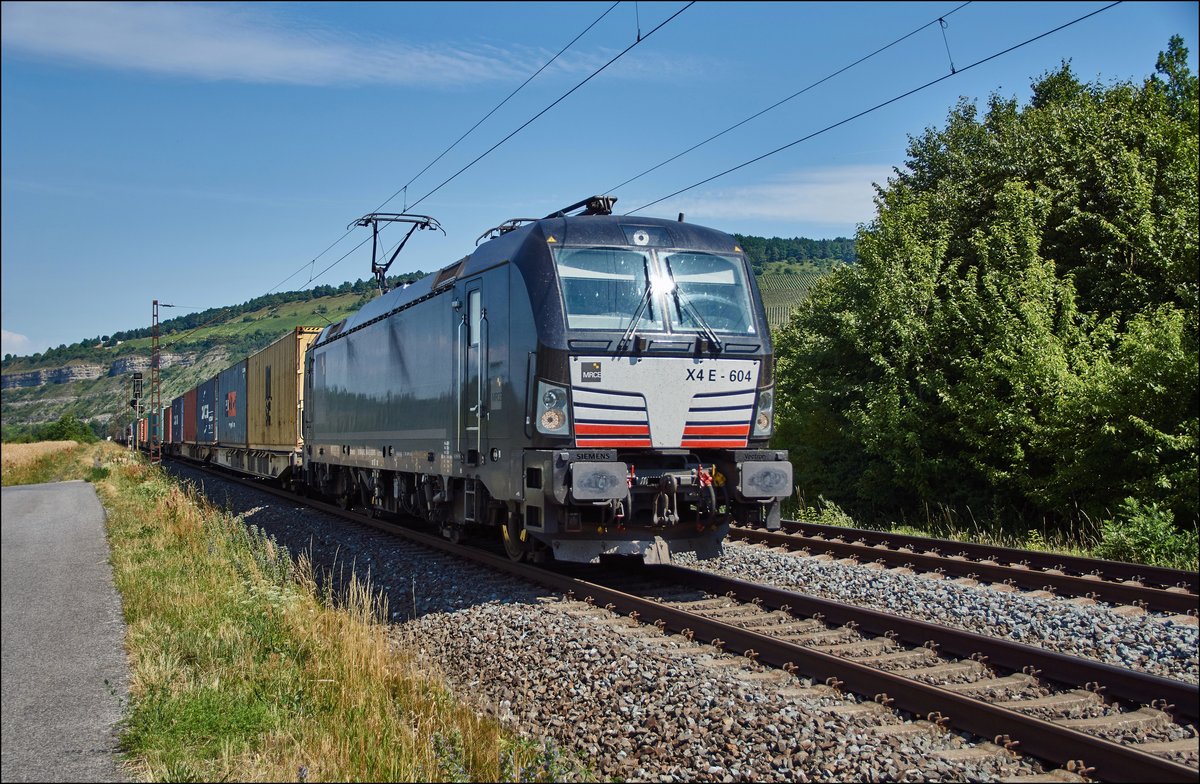 X4E -604 ( 193 604) ist mit einen Containerzug bei Thüngersheim am 05.07.2017 in Richtung Süden unterwegs.