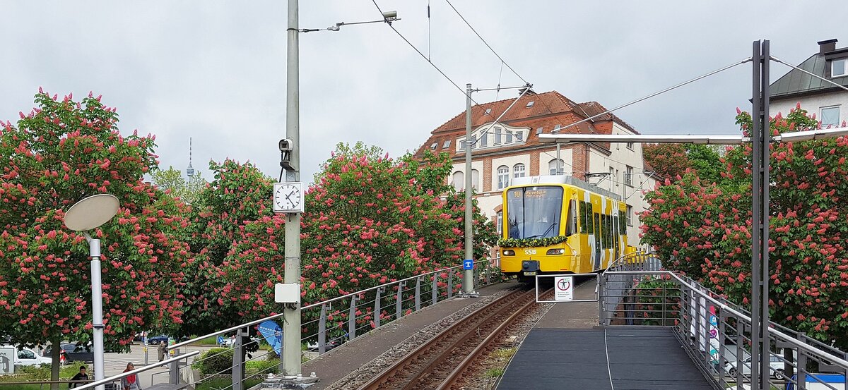 Zahnradbahn Stuttgart__Einer der Täuflinge fährt in die Talstation 'Marienplatz' ein. Links ist noch der Fernsehturm zu sehen (der erste dieser Art der Welt).__13-05-2023