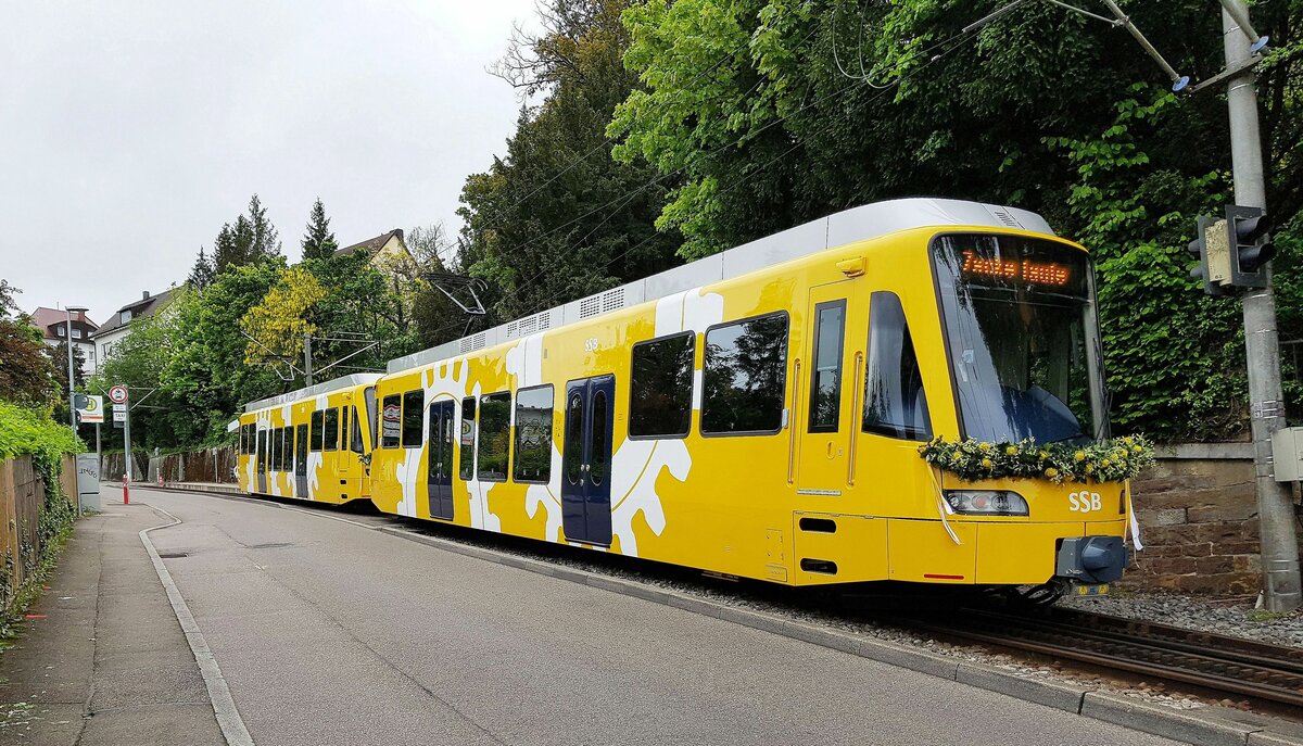 Zahnradbahn Stuttgart__Zwei der 'Täuflinge', sprich der neuen Tw, in Doppeltraktion an der 'Wielandshöhe'_13-05-2023