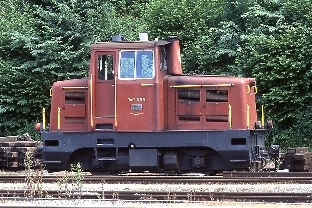 ZB, Tm III, 599, 03.07.2004 Meiringen




