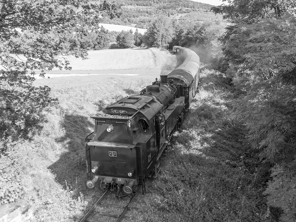 Zeitgreise mit Historischem Zug der Sauschwänzlebahn mit Damplok BB 262 von Zollhaus-Blumberg nach Weizen kurz vor Bahnhof Fützen am 9.August 2019.