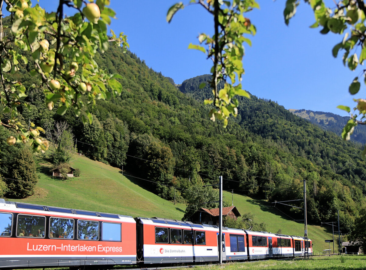 Zentralbahn: Die siebenteiligen Züge Serie 150 sind so lang, dass sie oft nur schwer in ein Bild zu bringen sind. Durchfahrt des vorderen Zugteils 150 101 und des Speisewagens 150 301 durch Ebligen. 23.August 2022 