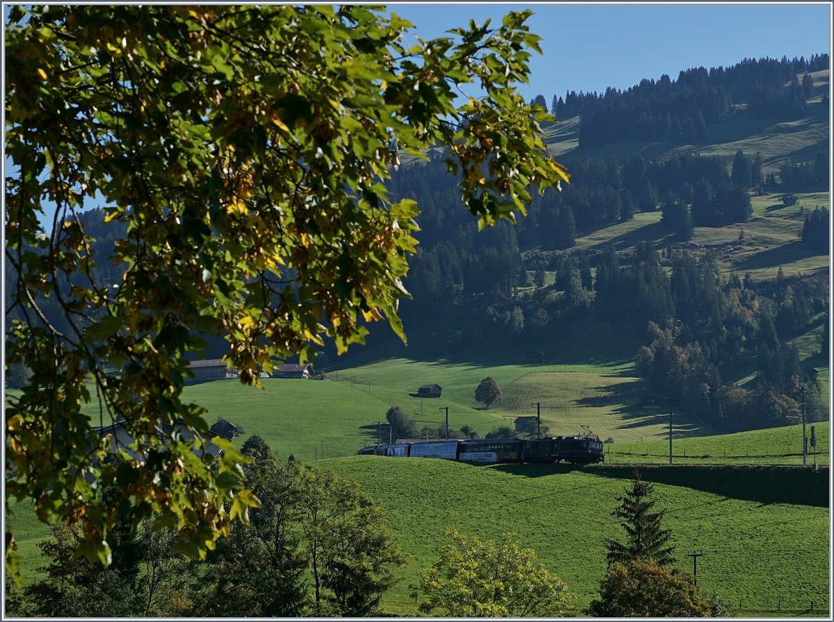Zu dumm, wenn der Zug nicht nur im Gegenlicht, sondern auch noch mit einer schwarzen Lok daher kommt...
MOB GDe 4/4 mit dem Goldenpass Panoramoic 3115 von Zweisimmen nach Montreux kurz vor Gruben.
30. Sept. 2016