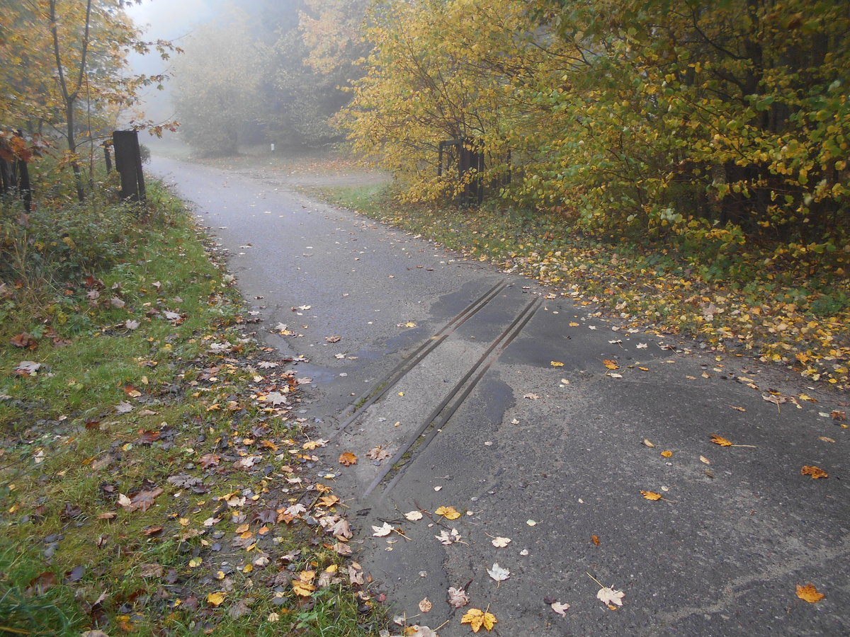 Zu den wenigen Gleisresten die noch,von der ehemaligen Kleinbahn Putbus-Altefähr, zufinden sind,zählt der Gleisrest an der ehemaligen Ziegelei in Ketelshagen.Aufnahme vom 18.Oktober 2018.