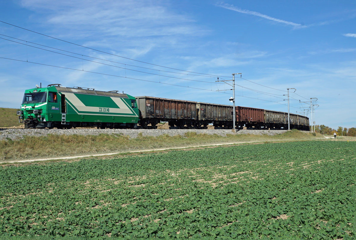 Zuckerrübenkampagne 2017
MBC/BAM: Letzte Zuckerrübenkampagne für die Chemin de fer Bière–Apples–Morges.
Impressionen vom 17. Oktober 2017, verewigt anlässlich des MINI-BAHNBILDER-TREFFENS mit Stefan Wohlfahrt und Peter Ackermann.
Leermaterialzug auf den Verlad wartend unterhalb Reverolle.
Foto: Walter Ruetsch  