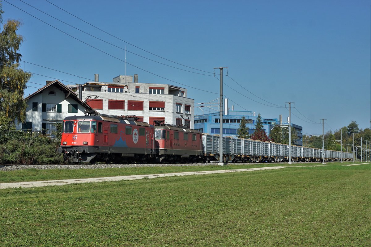 ZUCKERRÜBENKAMPAGNE 2019 AARBERG.
Die Re 420 294-1 100 JAHRE SCHWEIZER NATIONAL CIRKUS KNIE stand gleich mehrere Wochen im Rübendienst ab der Zuckerfabrik Aarberg.
Rübenzug bei Aarberg am 14. Oktober 2019.
Foto: Walter Ruetsch