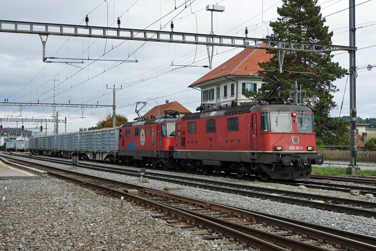 ZUCKERRÜBENKAMPAGNE 2019 AARBERG.
Die Re 420 294-1 100 JAHRE SCHWEIZER NATIONAL CIRKUS KNIE stand gleich mehrere Wochen im Rübendienst ab der Zuckerfabrik Aarberg.
Rübenzug kurz nach der Ankunft in Aarberg am 6. Oktober 2019.
Foto: Walter Ruetsch