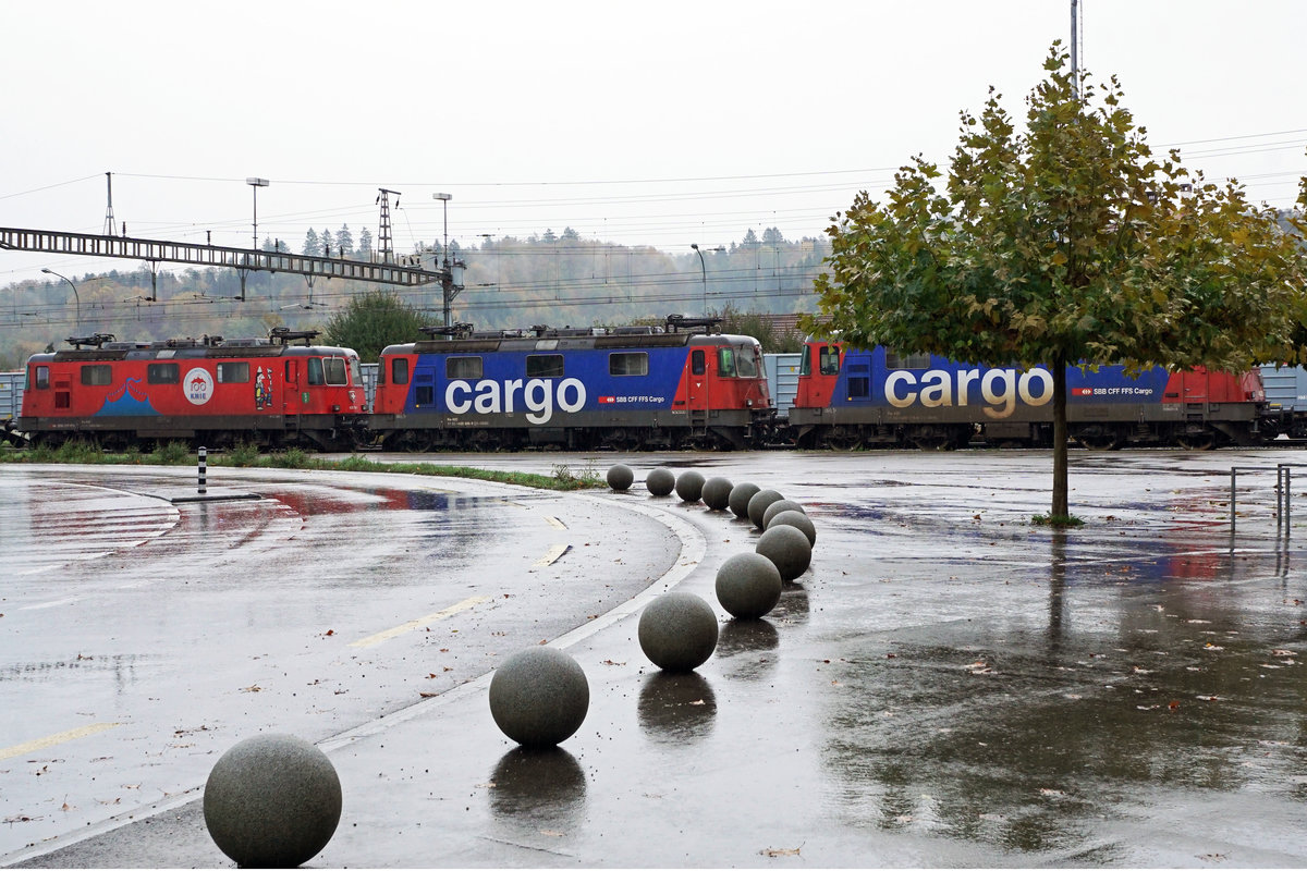 ZUCKERRÜBENKAMPAGNE 2019 AARBERG.
Impressionen vom Sonntagmorgen den 3. November 2019.
Die Re 420 294-1 mit der Werbung 100 Jahre KNIE steht seit dem Beginn der diesjährigen Kampagne im Rübendienst. Zusammen  mit den Re 420 346-9 und 420 178-6 wartete sie auf dem Abstellgeleise auf die nächste Ausfahrt.
Foto: Walter Ruetsch