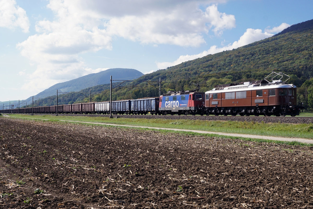 ZUCKERRÜBENKAMPAGNE 2019 FRAUENFELD.
SWISSTRAIN.
Auch im Jahre 2019 bot sich die Gelegenheit, die ehemalige BLS Ae 6/8 2008 zur Tag- und Nachtzeit bei seltenen und gar einmaligen Diensten zu verewigen.
Zuckerrübenzug Biel RB - Islikon vom 3. Oktober 2019 mit der Ae 6/8 2008 und der Re 421 393 bei Oberbuchsiten.
Foto: Walter Ruetsch