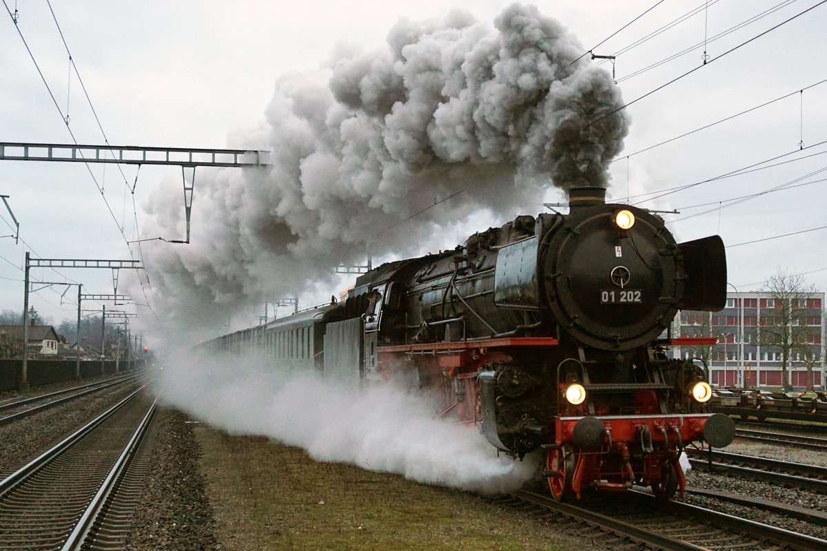 Zuckerrübenkampagne 2019.
Pacific 01 202 mit Schaugüterzug  Zuckerrübentransport  Aarberg - Islikon vom 21. Dezember 2019 anlässlich der Bahnhofsdurchfahrt Luterbach-Attisholz am frühen Morgen bei noch sehr wenig Licht. 
Um dieses einmalige Erlebnis auch noch hautnah zu verfolgen, wurde ein  Fotozug  mit dem Pendelzug Mirage  bestehend aus dem BDe 4/4 II 201 und dem ABt 202 eingesetzt. 
Foto: Walter Ruetsch