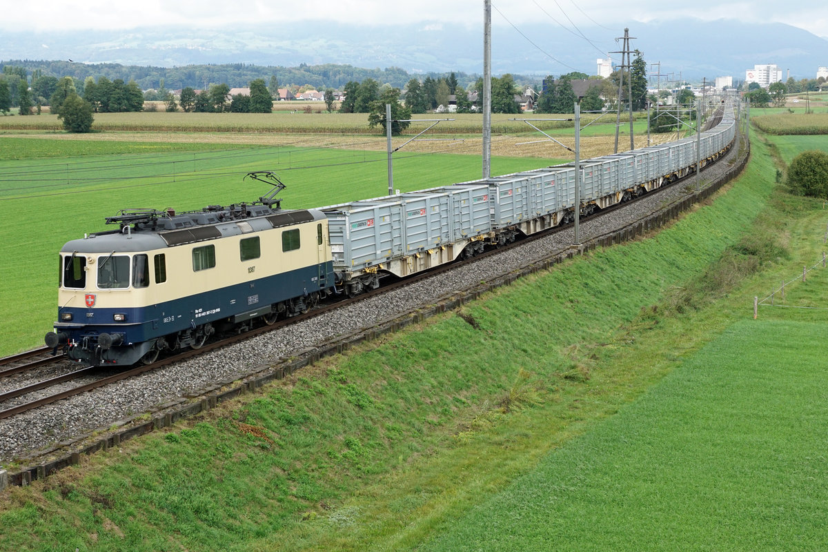 ZUCKERRÜBENKAMPAGNE 2020 AARBERG.
Die Re 421 387 von International Rolling Stock Investment (IRSI) brachte am 23. September 2020 27 Wagen von Frauenfeld nach Aarberg. Eingefangen wurde der imposante Zug mit einer Länge von 496 Meter bei Bollodingen.
Foto: Walter Ruetsch
