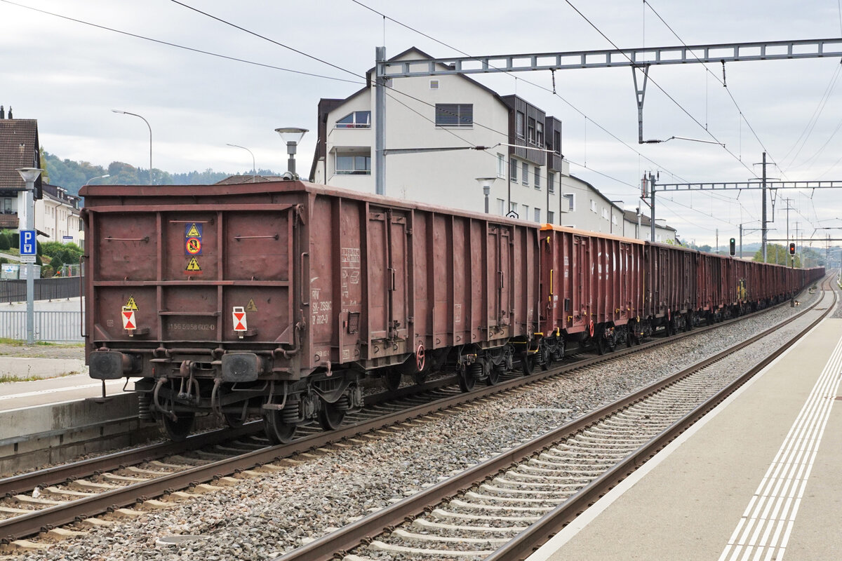 ZUCKERRÜBENKAMPAGNE 2021.
Zuckerfabrik Frauenfeld.
Sehr schwerer Rübenzug Basel-Islikon der Eisenbahndienstleister GmbH (EDG) mit den Re 446 017, Re 446 016 sowie der Re 446 015, ehemals SOB/SBB, bei der Ein- und Ausfahrt Islikon am 19. Oktober 2021.
Der sehr lange Leermaterialzug den ich mit dieser Aufnahme dokumentieren möchte verkehrte ohne Schiebelok.
Die Rübenzüge für die Zuckerfabrik Frauenfeld stehen im Dienste von International Rolling Stock Investment (IRSI).
Foto: Walter Ruetsch
