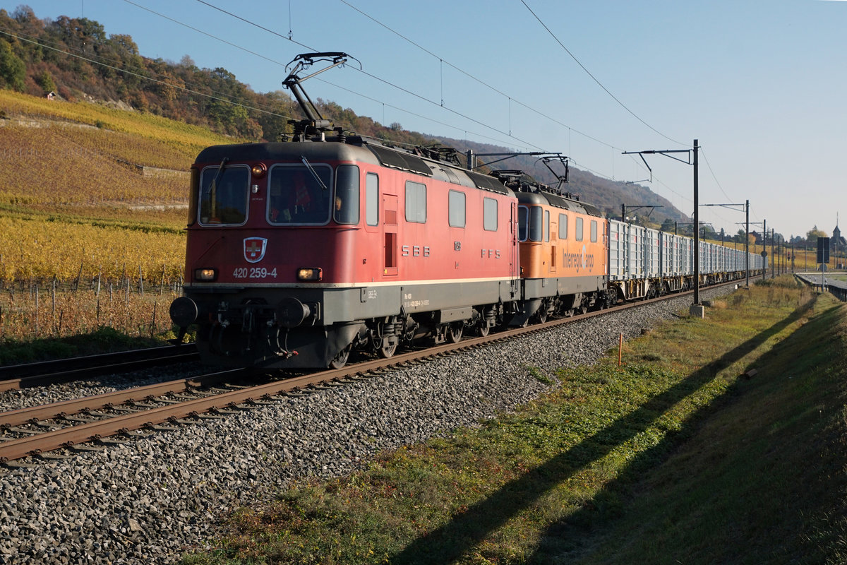 ZUCKERRÜBENKAMPAGNE AARBERG 2018
Doppeltraktion Re 420 mit Leermaterialzug bei Cressier auf der Fahrt nach Saint-Triphon am 22. Oktober 2018.
Foto: Walter Ruetsch 