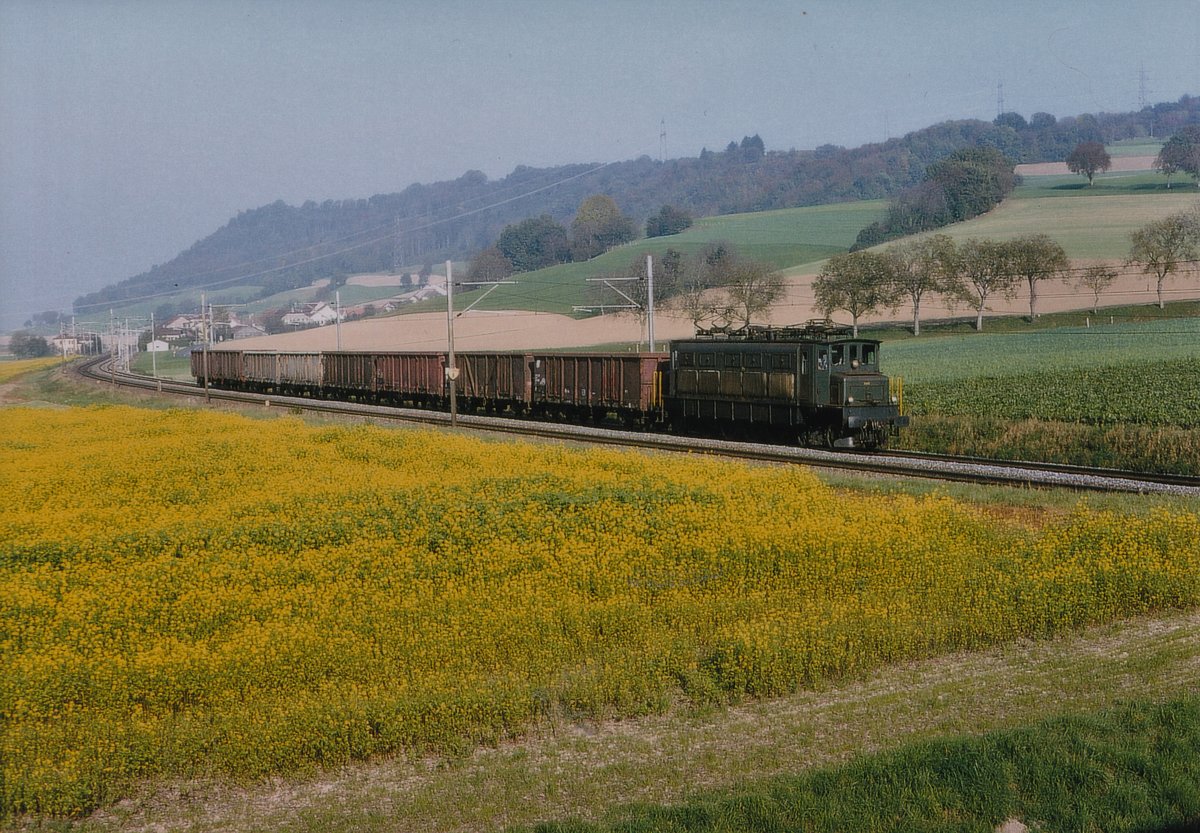 ZUCKERRÜBENKAMPAGNE ARBERG 1995
Erinnerungen an die fotogenen Ae 4/7 im Rübendienst.
Die Aufnahmen sind entstanen in Büren an der Aare, bei Busswil, bei Kerzers, vor Chavornay sowie in Chavornay während den Monaten Oktober-November.
Foto: Walter Ruetsch