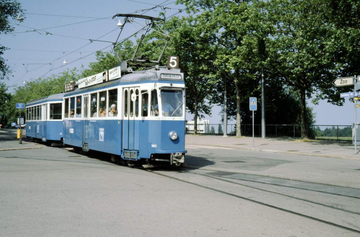 Zürich VBZ Tram 5 (SWS/MFO Be 4/4 1401 + SIG B 750) Zürichbergstrasse / Zoo / Dreiwiesenstrasse am 15. Juli 1983. - Scan eines Diapositivs. Film: Kodak Ektachrome. Kamera: Leica CL.